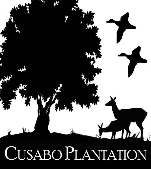 Cusabo Plantation